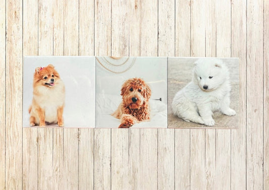 2"x 2" Custom Magnets Packs of 3